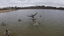 5638a8d887bf4video_5638a8b350eea