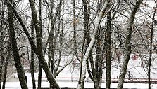 Vilniečiai pro langą i&scaron;vydo pirmąsias snaiges
