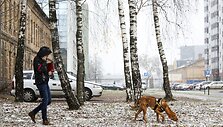 Vilniečiai pro langą i&scaron;vydo pirmąsias snaiges