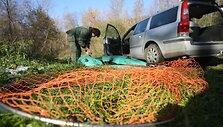Mokslininkų tyrimo objektas &ndash; la&scaron;i&scaron;ų migracija