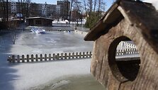 Tvinstančio Vokės upelio užlieti gyventojai pagalbos nesulaukia nei i&scaron; seniūnijos, nei i&scaron; Aplinkos ministerijos pareigūnų.
