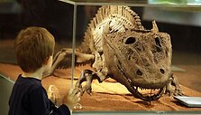 Vandenų gyvūnams Diuseldorfo vandens zoologijos sode &bdquo;Eurovizijos&ldquo; kovos nerūpi