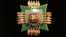 Garbės ženklas &bdquo;Ne&scaron;k savo &scaron;viesą ir tikėk&ldquo;, kurio pagrindnis motyvas &ndash; auksinis žirgas pegasas.