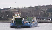 I&scaron; Kur&scaron;ių nerijos keleivius plukdantį keltą &bdquo;Baltija&ldquo; lydi būrys kirų. 