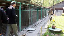 Kauno medžiotojų sąjungos atstovai tikina, kad verslininkas N.Žiūkas gyvūnams laikyti skirtus narvus pasistatė savavali&scaron;kai.