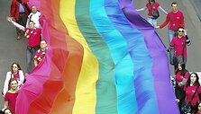 Homoseksualai