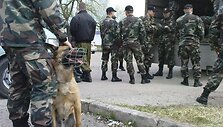 Speciali operacija