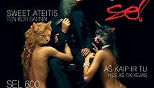 Naujasis SEL albumas