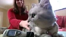 Katė Smokey