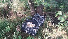 Krūmuose paslėpta kontrabanda