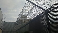 Vilniaus pataisos namuose