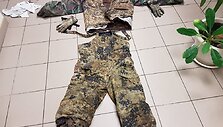 Bylos įkalčiai