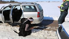 Įtariamųjų aferistų gaudynės ir sulaikymas, atgaila
