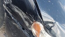 Apdaužytas automobilis