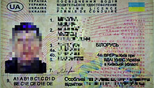 Bylos įkalčiai