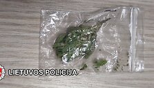 Bylos įkalčiai