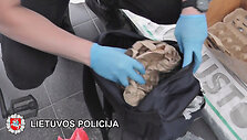 Bylos įkalčiai