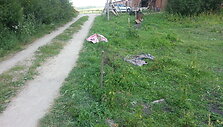 Įvykio vietoje