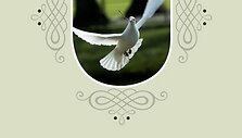 Pabudimo knyga