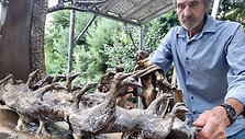 Henriko Orakausko skulptūra &bdquo;Saulė&ldquo; 