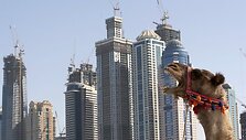 Finansinė krizė Dubajuje 