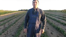 Alfonsas Pristavka