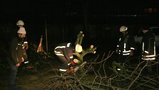 Gelbėtojai pjausto nuverstus medžius