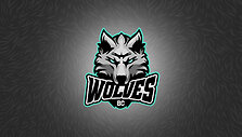 BC &bdquo;Wolves&ldquo; logotipas
