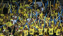&bdquo;Fenerbahče&ldquo; sirgaliai