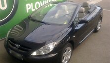 Pavogtas M.Niparavičiaus &bdquo;Peugeot 307 CC&ldquo; automobilis.