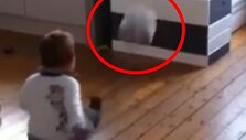 Jaunasis olandas Baeris neklysdamas įspiria kamuolius į atidarytą dėžę