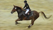 Laura Asadauskaitė i&scaron;kovojo bronzą