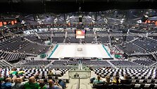 Kauno &bdquo;Žalgirio&ldquo; arena.