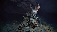 Kar&scaron;čiausias Žemėje vanduo srūva i&scaron; &scaron;io povandeninio geizerio, kuris buvo atrastas Atlanto vandenyne. 