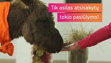 Lietuvos reklamos biuras teigia, kad mobiliojo interneto &bdquo;Mezon&ldquo; reklama, kurioje vartotojai lyginami su asilu, beždžione ir vi&scaron;ta, pažeidė Lietuvos reklamos etikos kodeksą. 