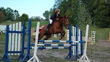 &bdquo;Bėk, bėk, žirgeli&ldquo; suburia ir profesionalius sportininkus, ir tiesiog žirgų mylėtojus.