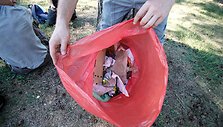 Surinktos &scaron;iuk&scaron;lės