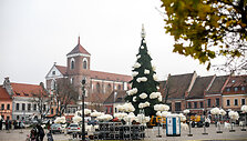 Kauno Kalėdų eglė