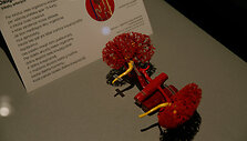 &bdquo;Body Worlds&ldquo; paroda