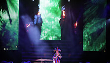 &bdquo;Lord Of The Dance&ldquo; pasirodymas