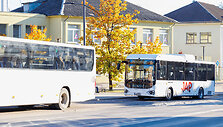 Joni&scaron;kis
