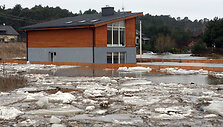 2010 metų potvynis pakaunėje