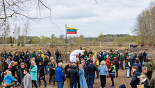 Ąžuolų sodinimas