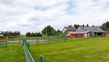 Ožka malė