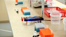 Laboratorijos atidarymas