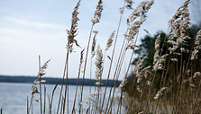 Vie&scaron;kūnų piliakalnis