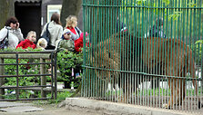 Zoologijos sode