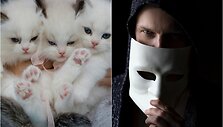 Katės ir &scaron;izofrenija (asociatyvinės nuotr.)