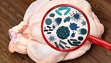 Bakterijomis užkrėsta vi&scaron;tiena (asociatyvinė nuotr.)