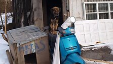 Piktas, o gal tiesiog alkanas &scaron;uo?